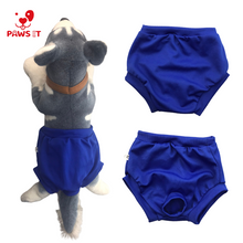 Load image into Gallery viewer, Paws It Dog Clothes Cat Clothes Pet Underwear