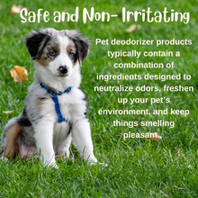 Load image into Gallery viewer, Arrow Cush Pet Odor Eliminator 500ML Disinfectant Spray Bio Enzyme Deodorizer For Cleaning For Dog Cat