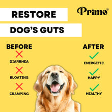 Load image into Gallery viewer, 🌿 Primo Probiotics for Dogs & Cats