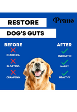 Load image into Gallery viewer, π Primo Dog & Cat Multivitamins