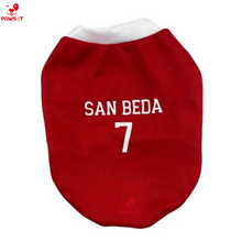 Load image into Gallery viewer, NCAA Jersey Letran Benilde San Beda Lyceum