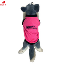 Load image into Gallery viewer, PVL Creamline ChocoMucho F2 PetroGazz Cherry Tiggo Cignal Jersey Shirt