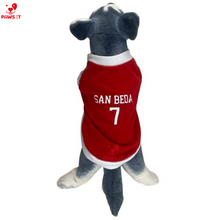 Load image into Gallery viewer, NCAA Jersey Letran Benilde San Beda Lyceum
