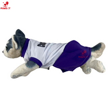 Load image into Gallery viewer, PVL Creamline ChocoMucho F2 PetroGazz Cherry Tiggo Cignal Jersey Dress