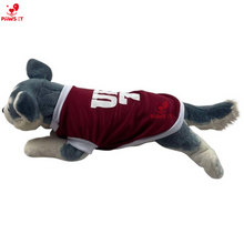 Load image into Gallery viewer, UP Jersey Shirt