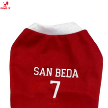 Load image into Gallery viewer, NCAA Jersey Letran Benilde San Beda Lyceum