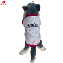 Load image into Gallery viewer, PVL Creamline ChocoMucho F2 PetroGazz Cherry Tiggo Cignal Jersey Shirt