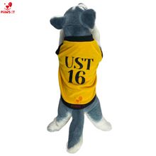 Load image into Gallery viewer, UST Jersey Shirt