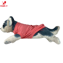 Load image into Gallery viewer, Paws It Jordan Shirt