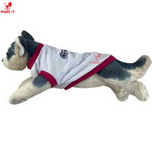 Load image into Gallery viewer, PVL Creamline ChocoMucho F2 PetroGazz Cherry Tiggo Cignal Jersey Shirt