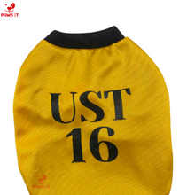Load image into Gallery viewer, UST Jersey Shirt