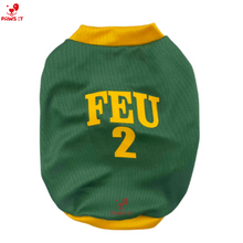 Load image into Gallery viewer, FEU Jersey Shirt