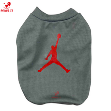 Load image into Gallery viewer, Paws It Jordan Shirt
