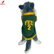 Load image into Gallery viewer, FEU Jersey Shirt