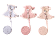 Load image into Gallery viewer, Vest Cat Kitten Dog Walking Traction Rope