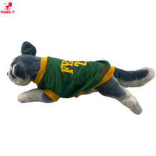 Load image into Gallery viewer, FEU Jersey Shirt