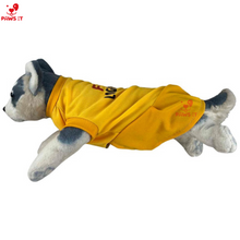 Load image into Gallery viewer, PVL Creamline ChocoMucho F2 PetroGazz Cherry Tiggo Cignal Jersey Dress