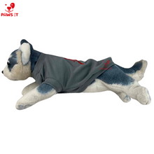 Load image into Gallery viewer, Paws It Jordan Shirt