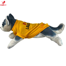 Load image into Gallery viewer, PVL Creamline ChocoMucho F2 PetroGazz Cherry Tiggo Cignal Jersey Shirt