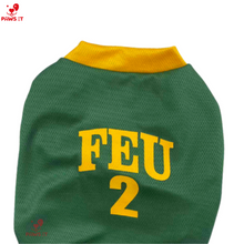 Load image into Gallery viewer, FEU Jersey Shirt