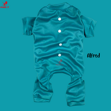 Load image into Gallery viewer, Ghost Fighter Jumpsuit