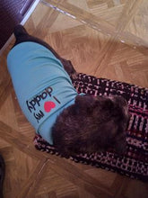 Load image into Gallery viewer, 100 PCS BUNDLE UNDERWEAR PAWS IT PET CLOTHES FOR CATS AND DOGS (ASSORTED)