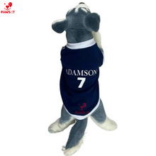 Load image into Gallery viewer, Adamson Jersey Navy Blue