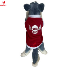 Load image into Gallery viewer, PVL Creamline ChocoMucho F2 PetroGazz Cherry Tiggo Cignal Jersey Shirt