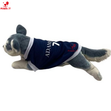 Load image into Gallery viewer, Adamson Jersey Navy Blue