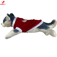 Load image into Gallery viewer, PVL Creamline ChocoMucho F2 PetroGazz Cherry Tiggo Cignal Jersey Shirt