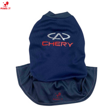 Load image into Gallery viewer, PVL Creamline ChocoMucho F2 PetroGazz Cherry Tiggo Cignal Jersey Dress