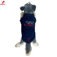 Load image into Gallery viewer, PVL Creamline ChocoMucho F2 PetroGazz Cherry Tiggo Cignal Jersey Shirt