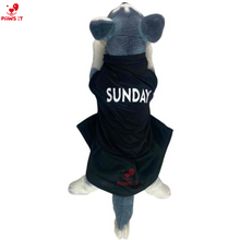 Load image into Gallery viewer, Monday Tuesday Wednesday Thursday Friday Saturday Sunday Dress