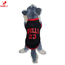 Load image into Gallery viewer, Chicago Bulls