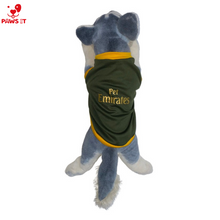 Load image into Gallery viewer, Pet Emirates Army Green