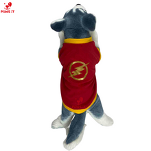 Load image into Gallery viewer, Flash Shirt