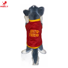 Load image into Gallery viewer, Best Friend Sando