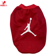 Load image into Gallery viewer, Paws It Jordan Shirt