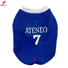 Load image into Gallery viewer, Ateneo Jersey Shirt