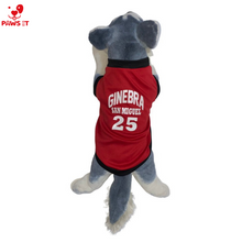 Load image into Gallery viewer, Ginebra San Miguel