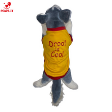 Load image into Gallery viewer, Drool is Cool Shirt