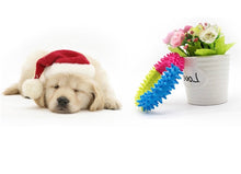 Load image into Gallery viewer, Pet Soft Ring Bite Teether Toy