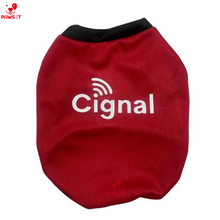 Load image into Gallery viewer, PVL Creamline ChocoMucho F2 PetroGazz Cherry Tiggo Cignal Jersey Shirt