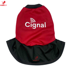 Load image into Gallery viewer, PVL Creamline ChocoMucho F2 PetroGazz Cherry Tiggo Cignal Jersey Dress