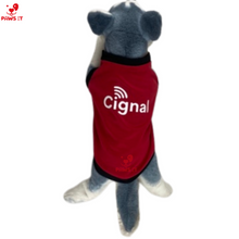 Load image into Gallery viewer, PVL Creamline ChocoMucho F2 PetroGazz Cherry Tiggo Cignal Jersey Shirt