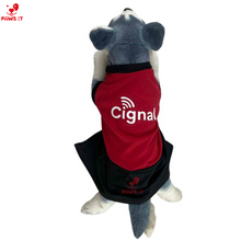 Load image into Gallery viewer, PVL Creamline ChocoMucho F2 PetroGazz Cherry Tiggo Cignal Jersey Dress