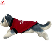 Load image into Gallery viewer, PVL Creamline ChocoMucho F2 PetroGazz Cherry Tiggo Cignal Jersey Shirt