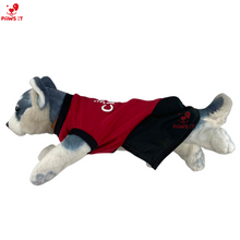 Load image into Gallery viewer, PVL Creamline ChocoMucho F2 PetroGazz Cherry Tiggo Cignal Jersey Dress