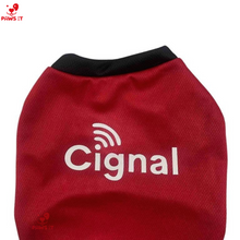 Load image into Gallery viewer, PVL Creamline ChocoMucho F2 PetroGazz Cherry Tiggo Cignal Jersey Shirt