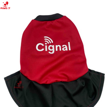 Load image into Gallery viewer, PVL Creamline ChocoMucho F2 PetroGazz Cherry Tiggo Cignal Jersey Dress